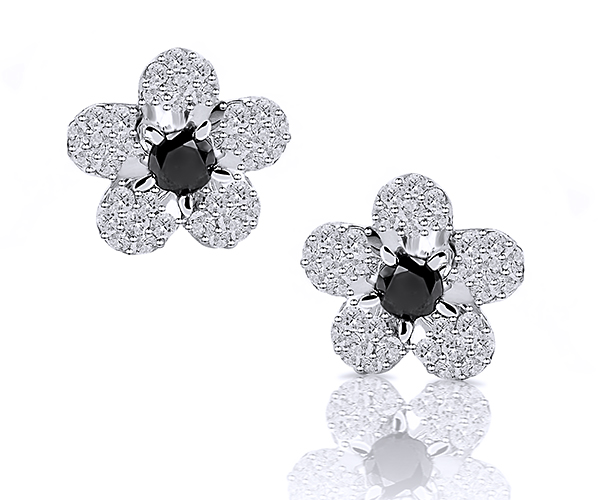 Earrings AC165C