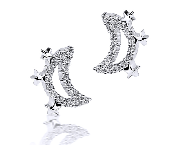 Earrings AC230