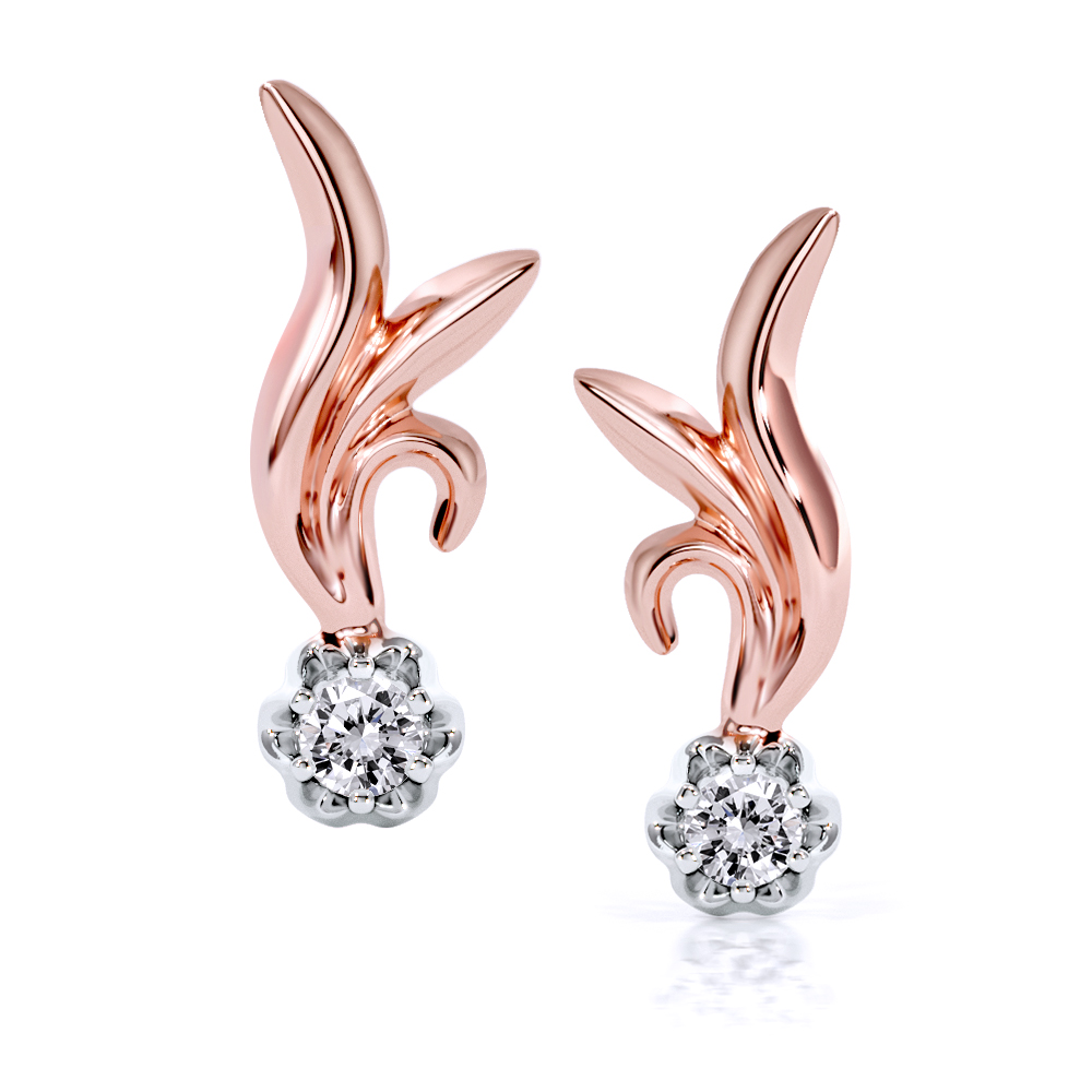 Earrings AC281