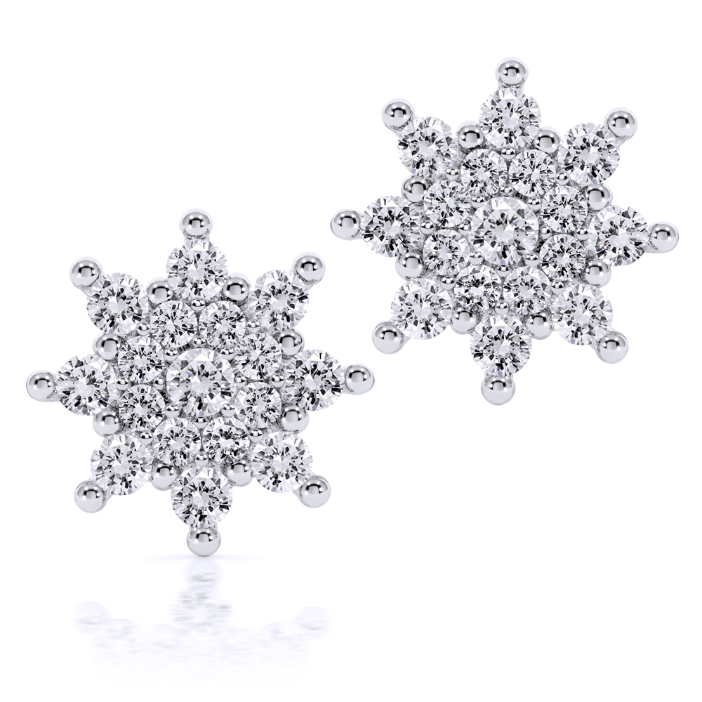 Earrings AC145