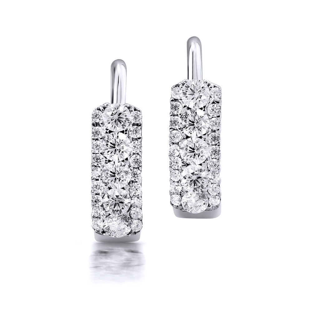 Earrings AC325