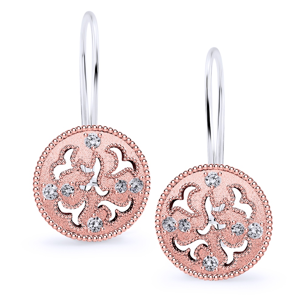 Earrings AN04C